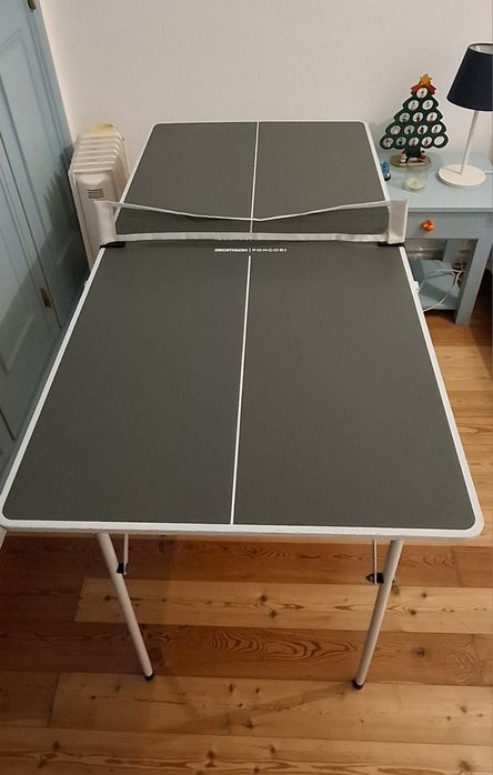 Mesa Ping Pong Decathlon