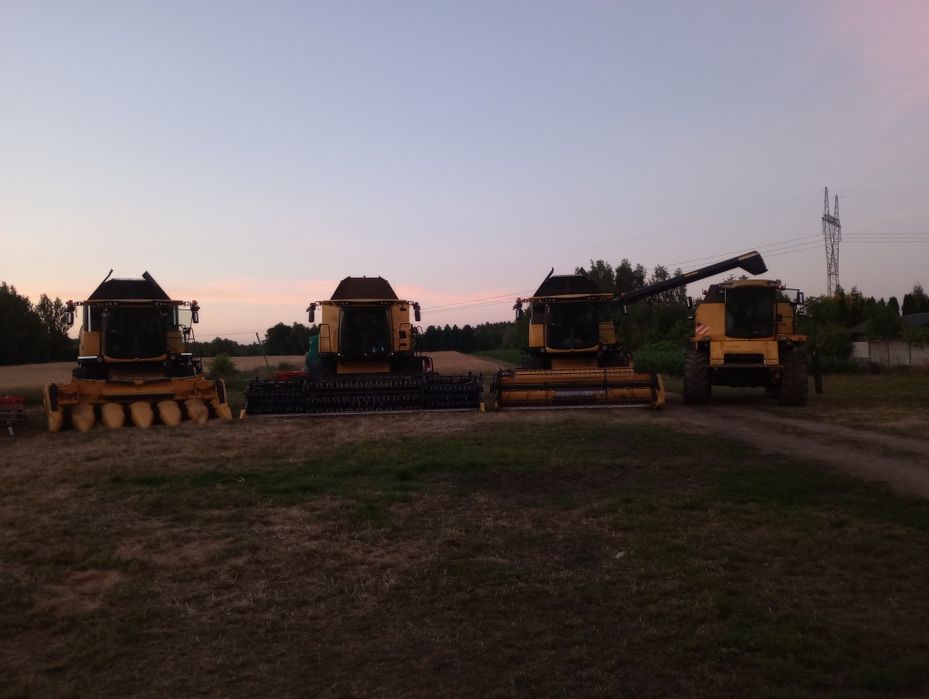 Koszenie zbiór SKUP kukurydzy na ziarno Wywóz gnojowicy obornika siew