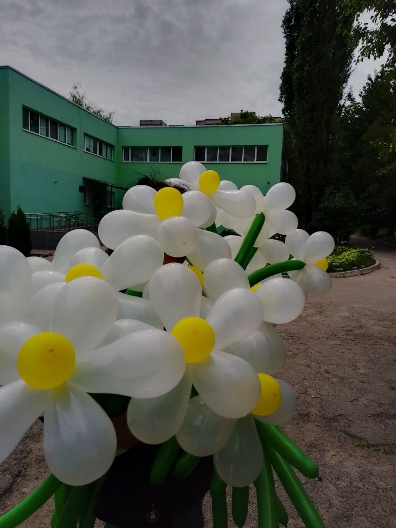Продам ромашки с доставкой