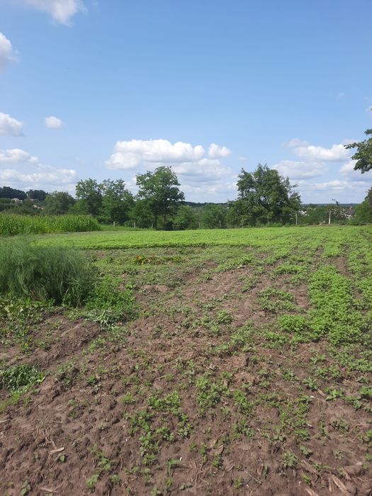 Продам будинок в с. Фурси