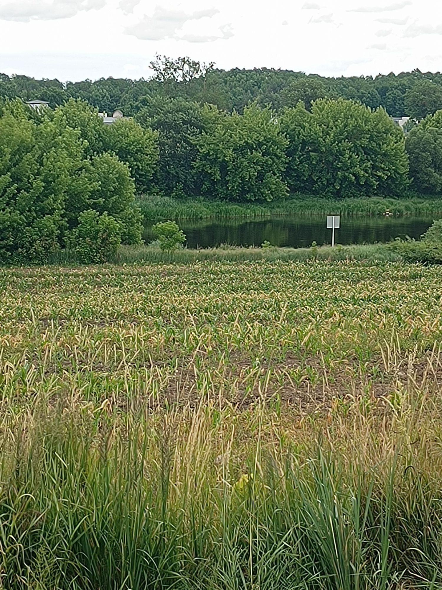 Dom nowy z widokiem na rzekę Warte.