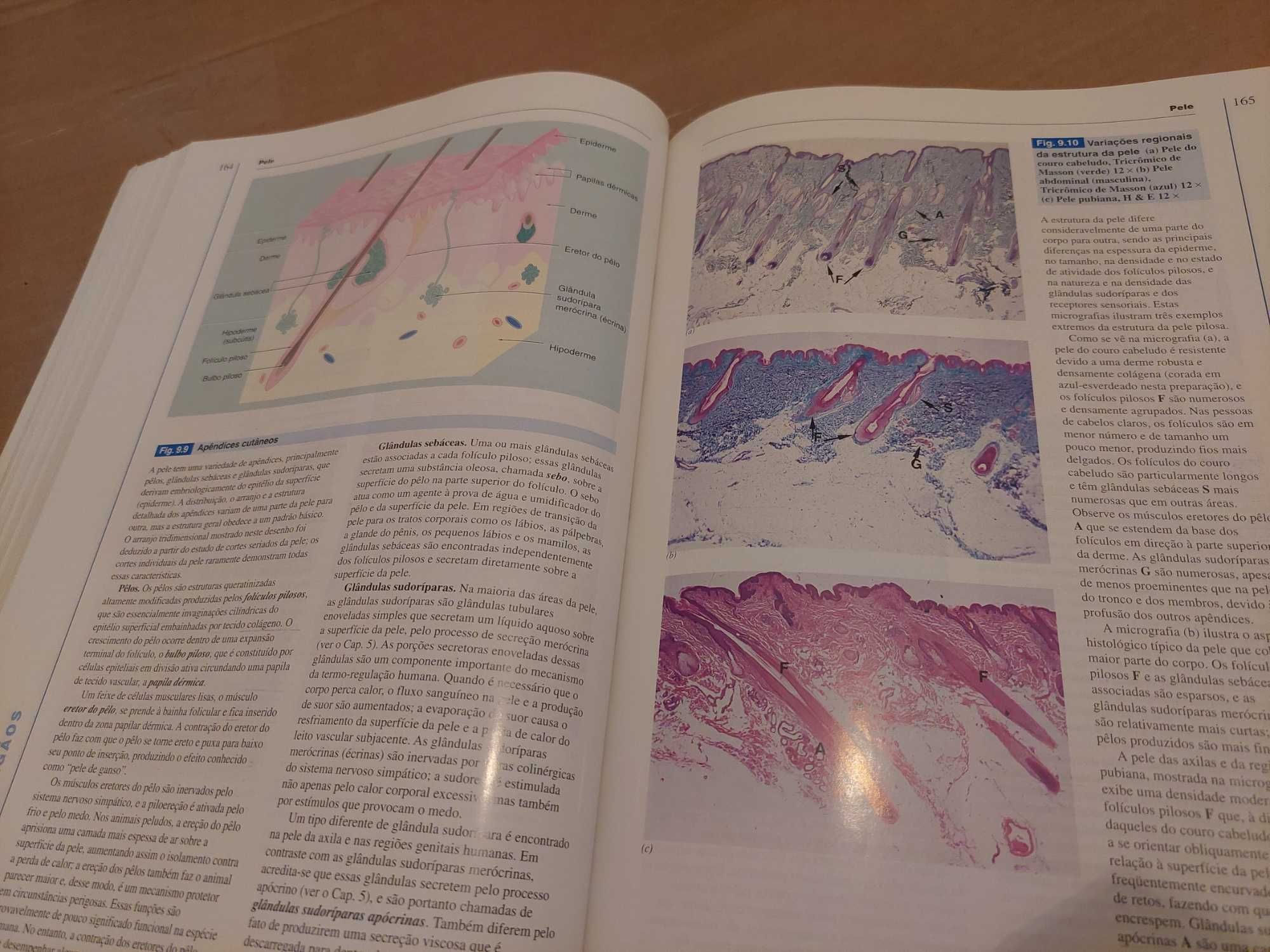 Livro “Wheater Histologia Funcional” - usado