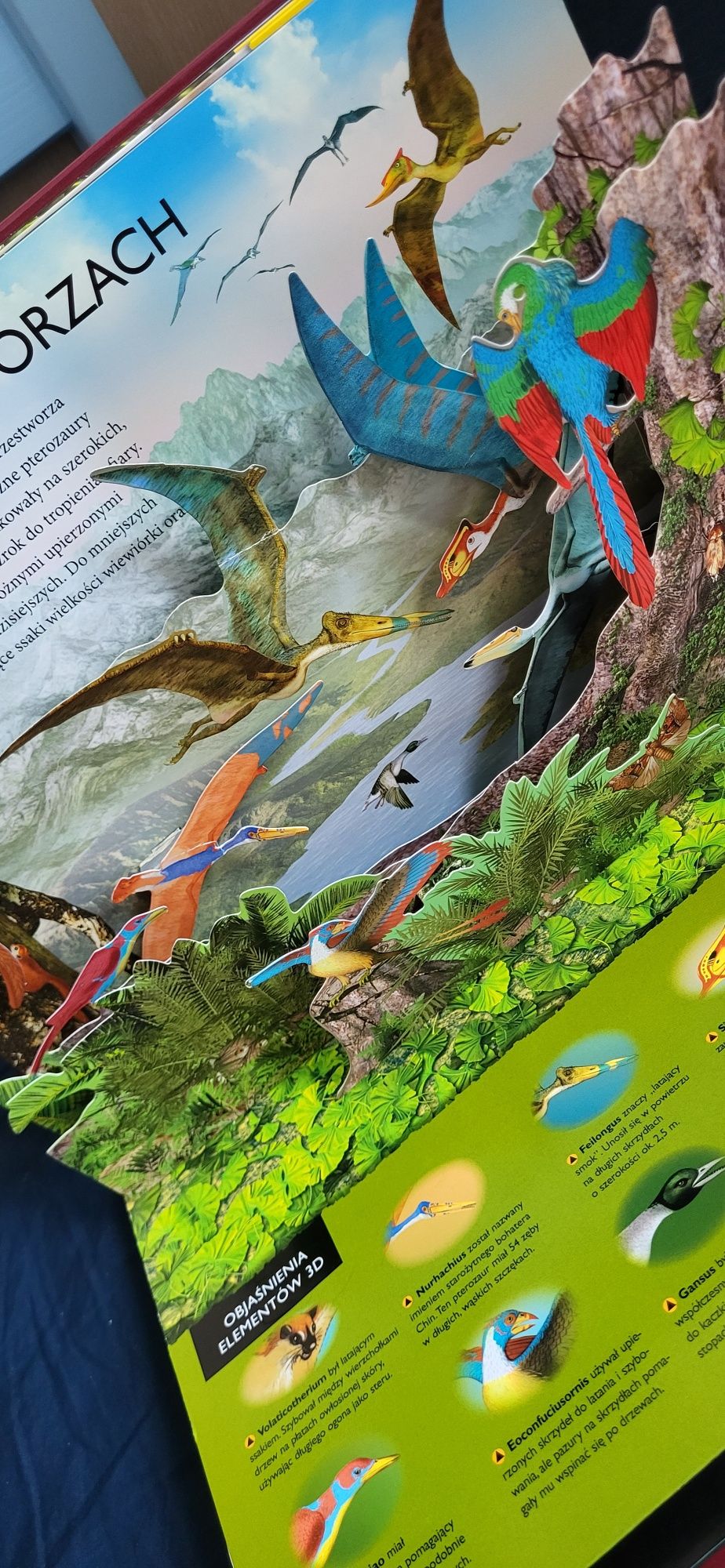 Dinozaury odkrywca 3D książka