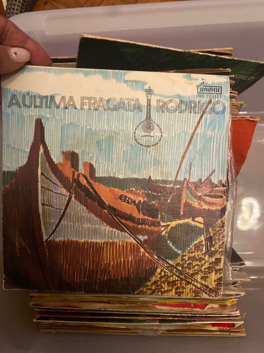 Lote de vinis  singel