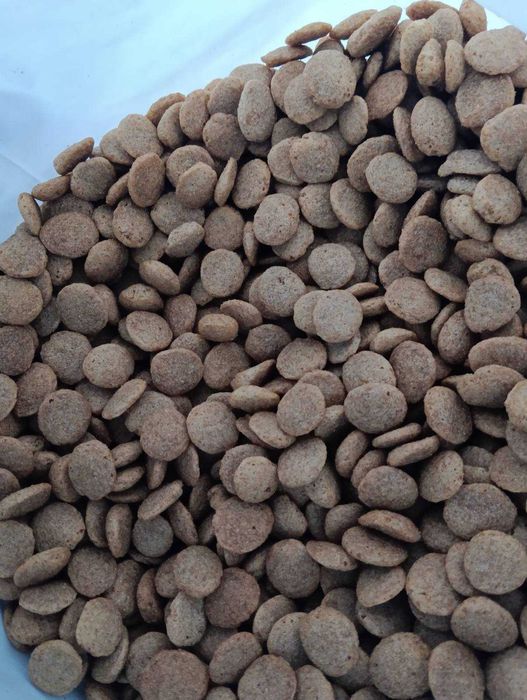 корм STARDEYL – улюблений вибір котиків та їхніх господарів