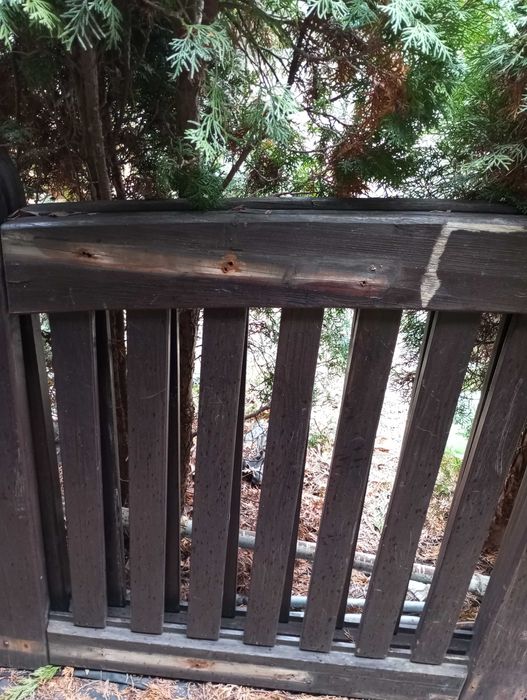 Brama drewniana Szczecin