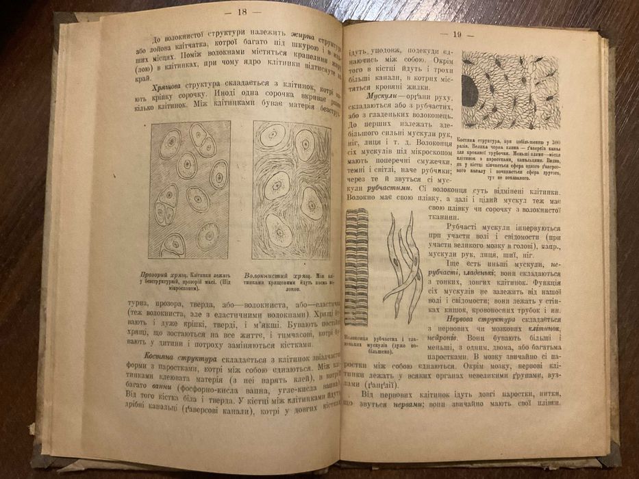 Київ 1918 Анатомія і фізіологія людини Коваленко вбитий нквд часи УНР
