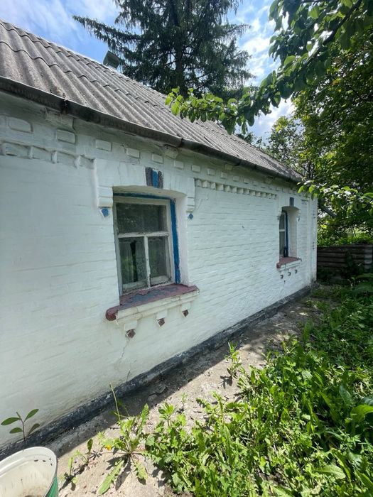 Будинок село Шапіївка