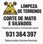 Limpeza de terrenos