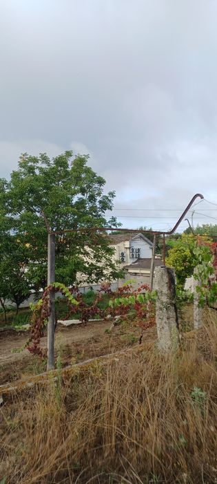 Bancas de ramada em ferro