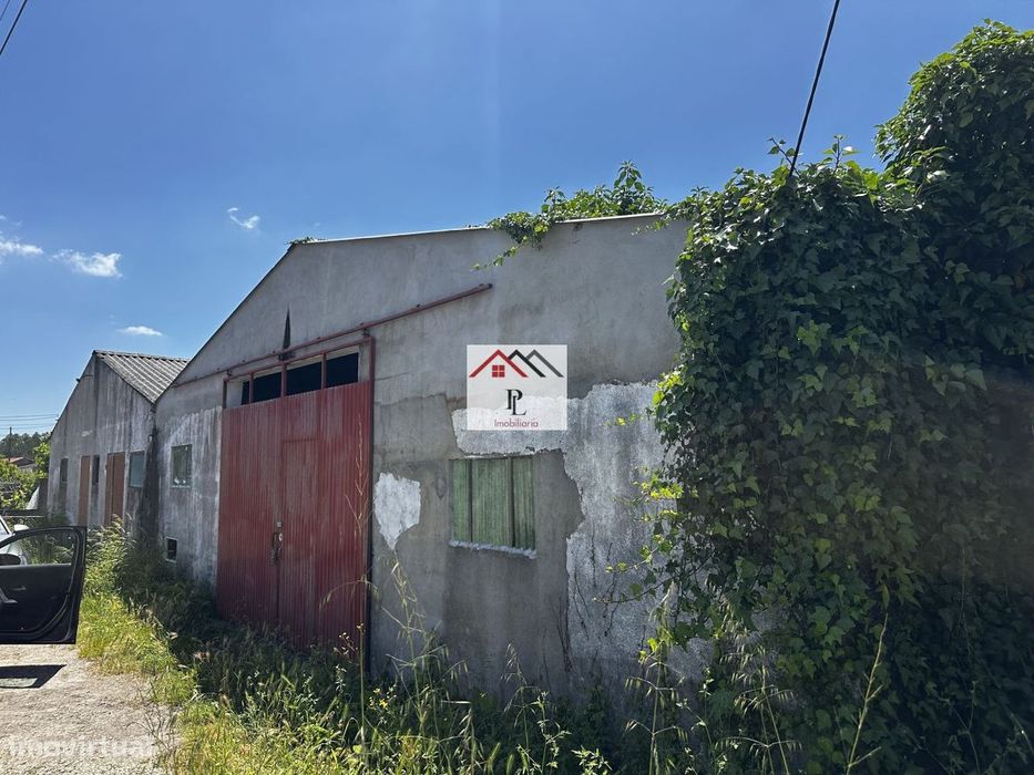 Arrecadação e Arrumos