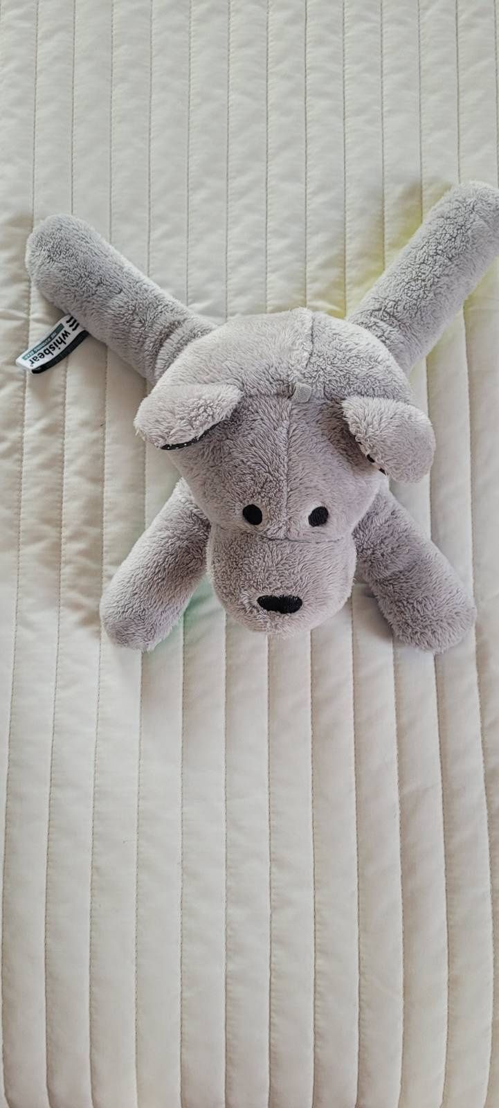 Szumiący Miś Whisbear