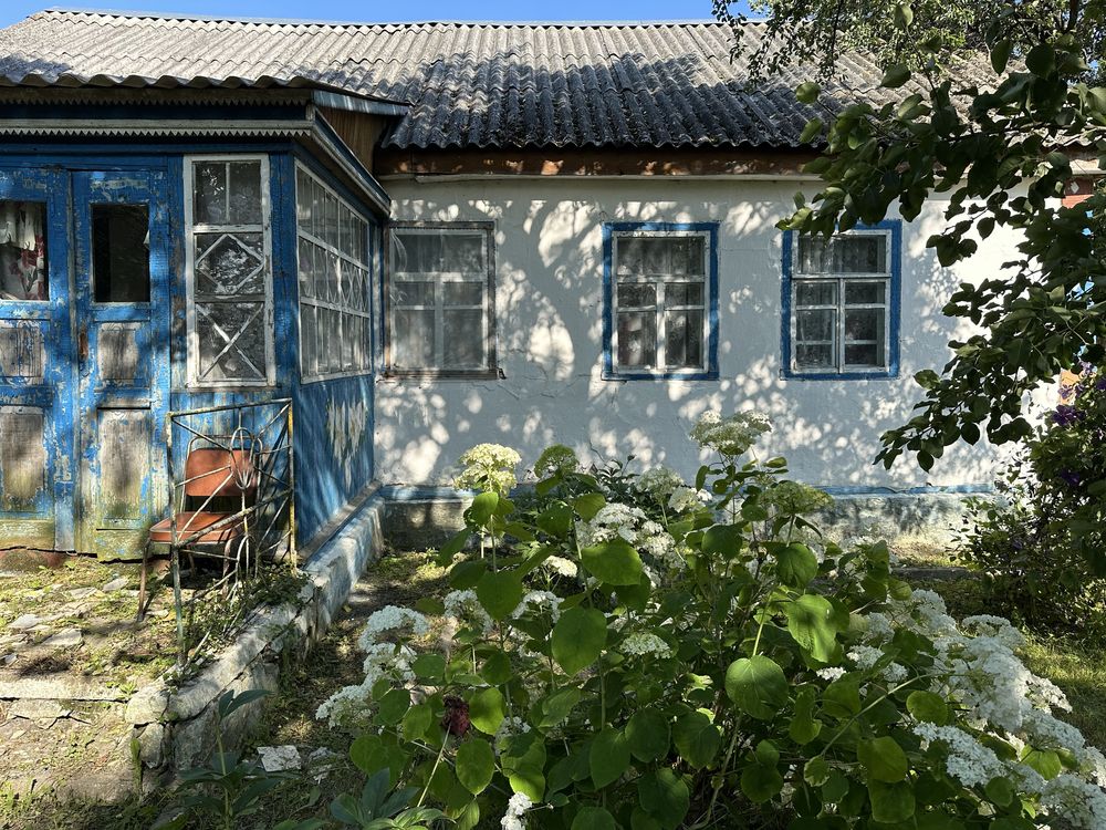 Будинок,дача,приватна садиба,с.Степанівка,Ємільчине.