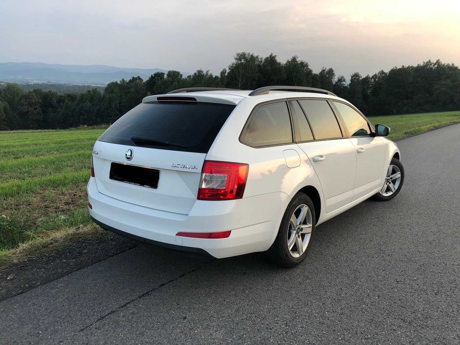 WYNAJEM AUT wypożyczalnia samochodów, auto zastępcze SKODA OCTAVIA