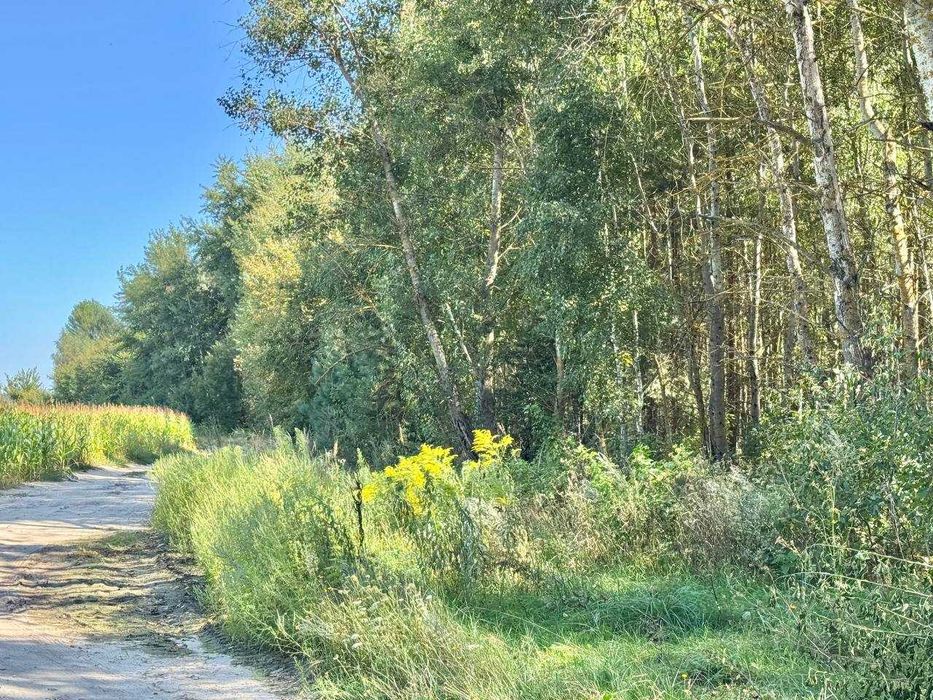 Продаж масиву землі для будівництва біля Києва.