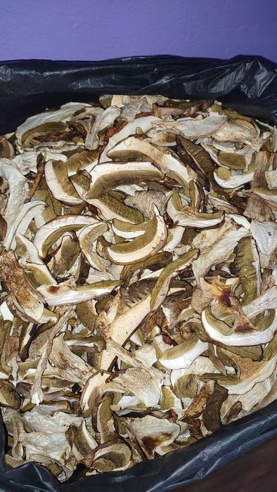 Білі сушені гриби