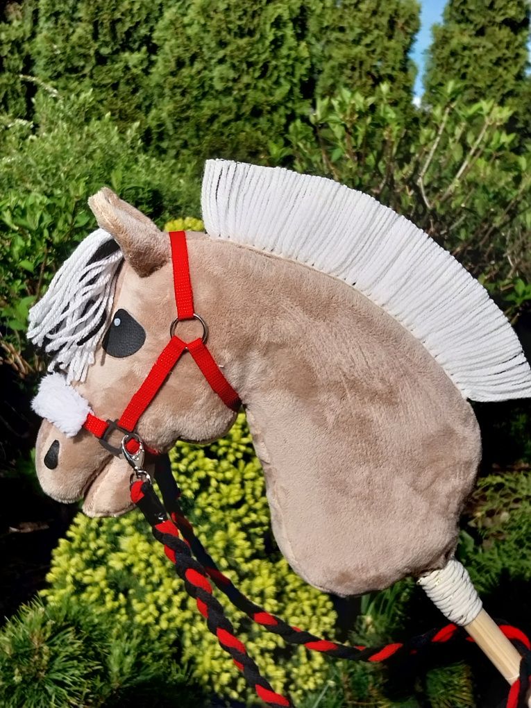 Konik hobby horse Fiord