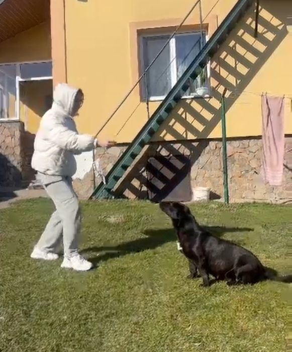 Собачка Люсі маленька стерилізована