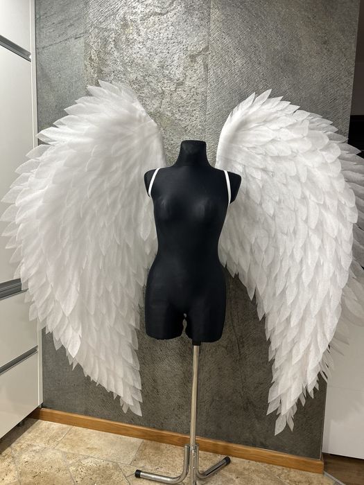 Białe skrzydła, nowe