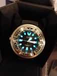 Citizen Eco Drive