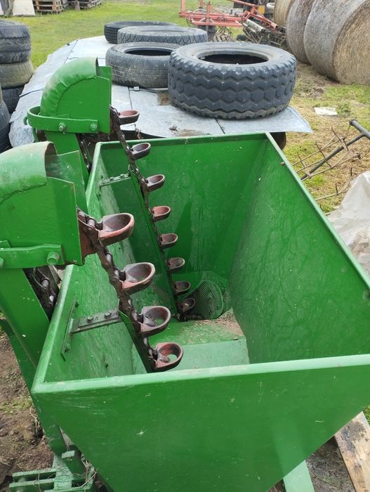 Szadzarka  kubełkowa