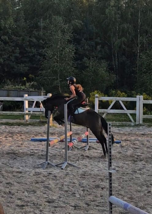 Kuc grupy A1 idealny dla dziecka do sportu lub rekreacji