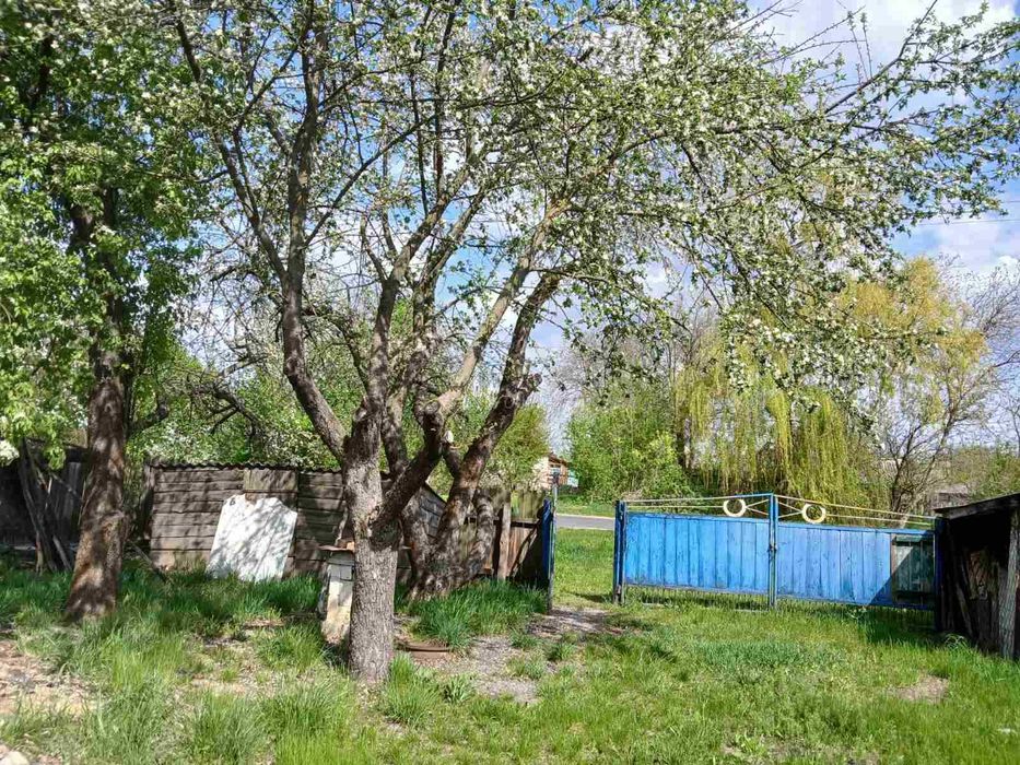 Продаж приватного будинку