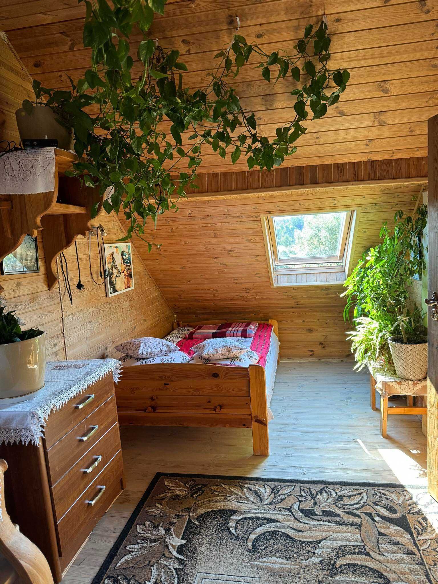Agroturystyka Bieszczady