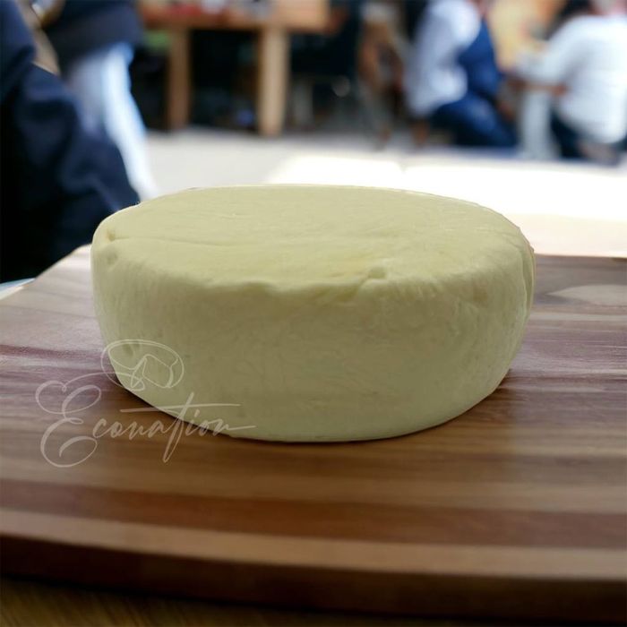 СИРИ сулугуні, бринза,моцарела ДОСТАВКА БЕЗКОШТОВНА