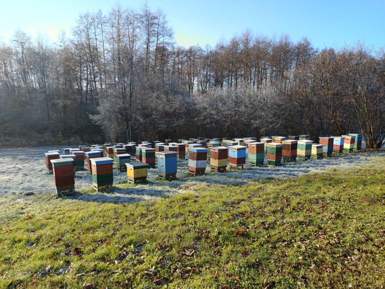 Odkłady pszczele