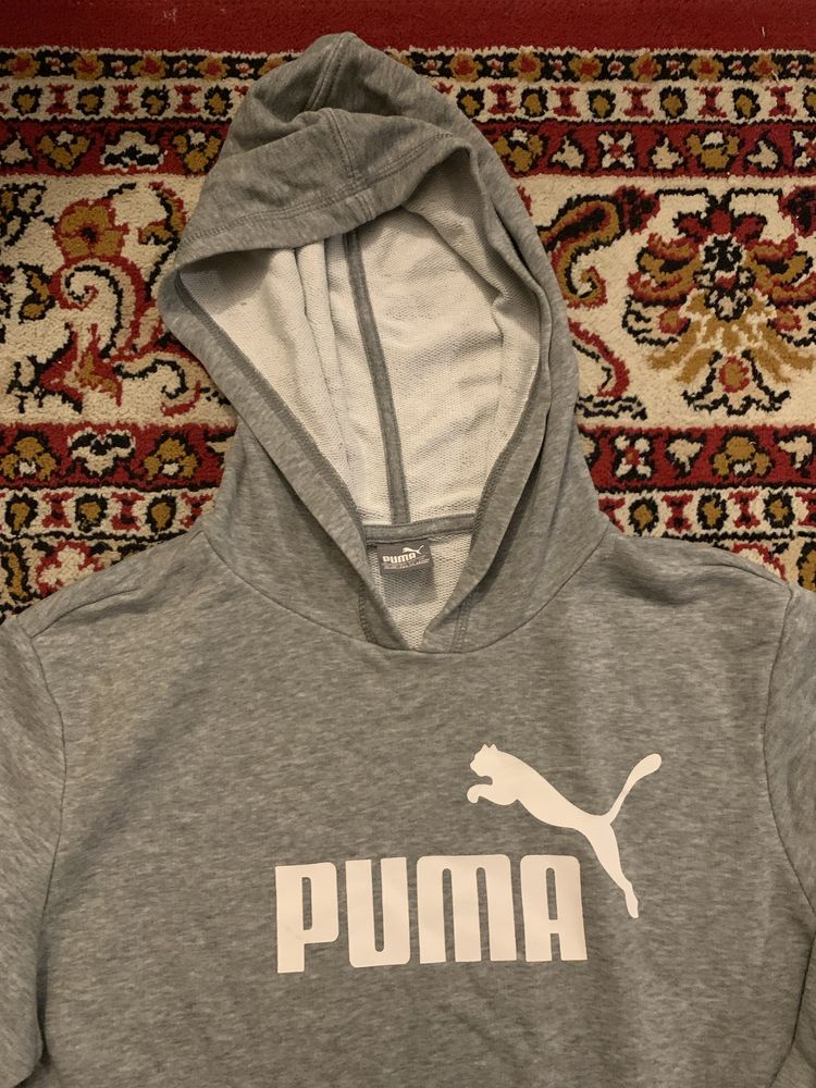 Puma szara bluza z logo 13-14 l