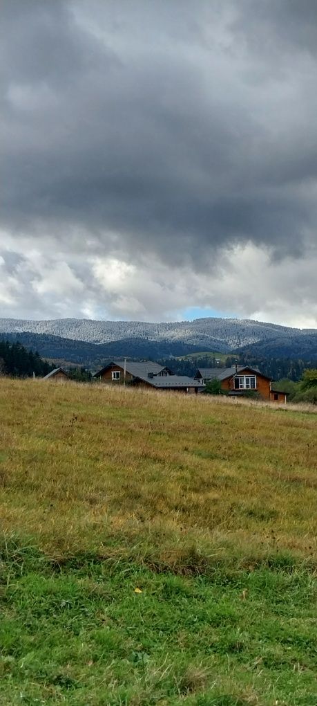 Проживання в будиночку A-frame