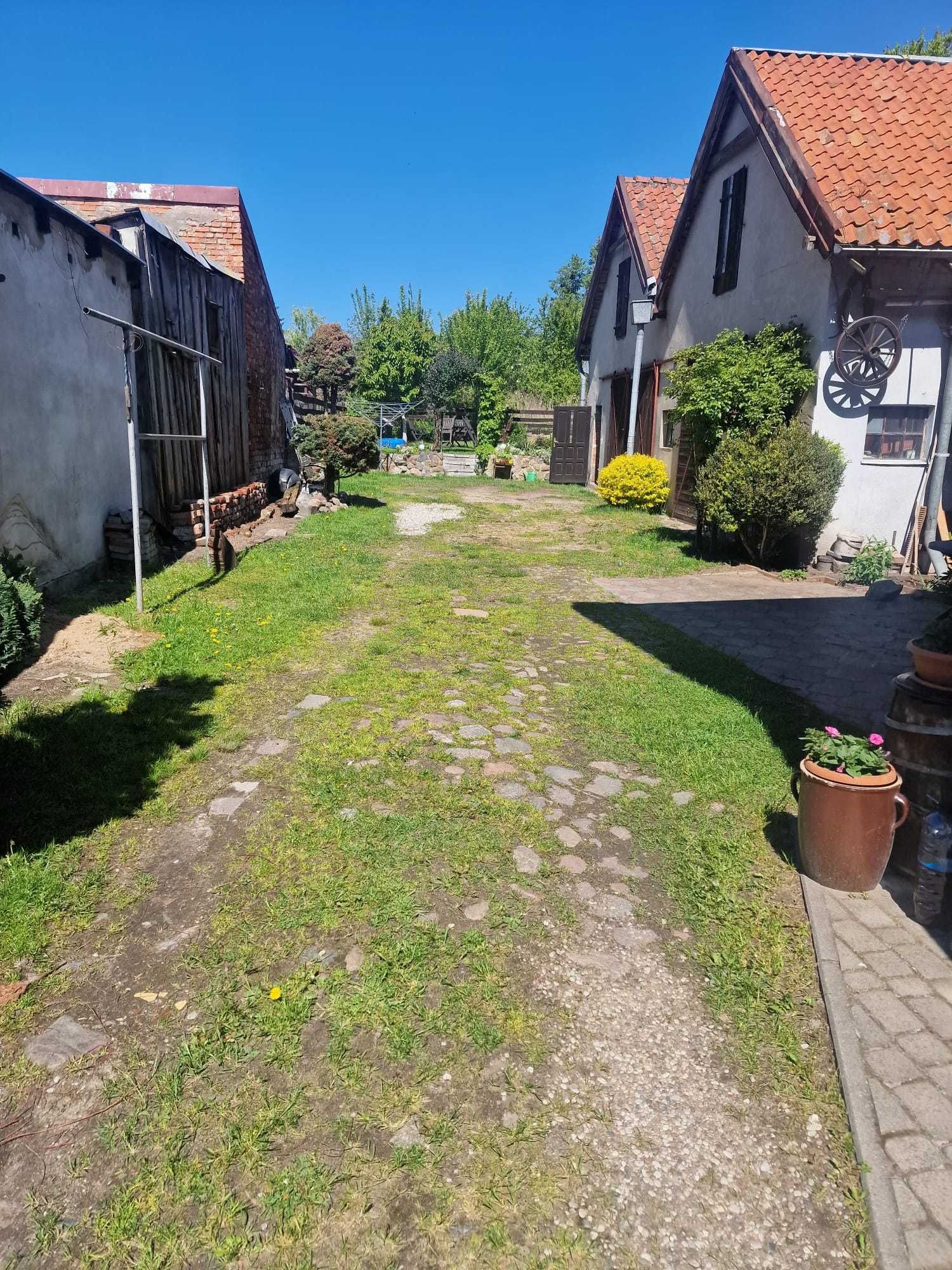 Przestronne mieszkanie 60m² na parterze z oddzielnym wejściem - Orneta