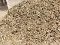 Koński obornik workowany około  100 litrów Same pączki zbierane z łąki