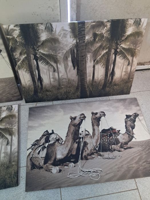 Conjunto de 4 quadros decorativos