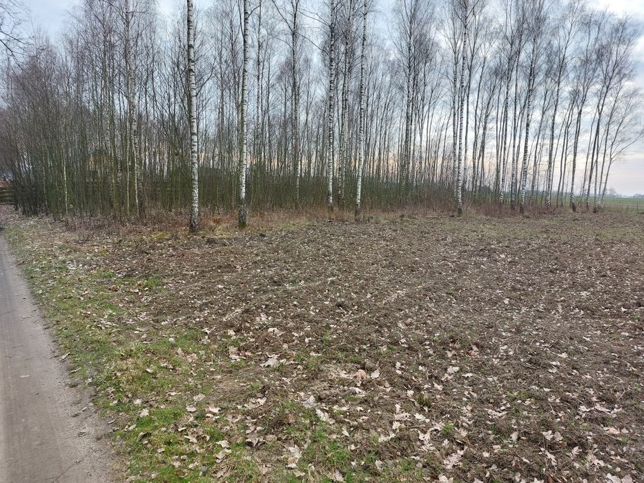 Sprzedam działkę budowlaną z warunkami zabudowy  w pięknej okolicy.