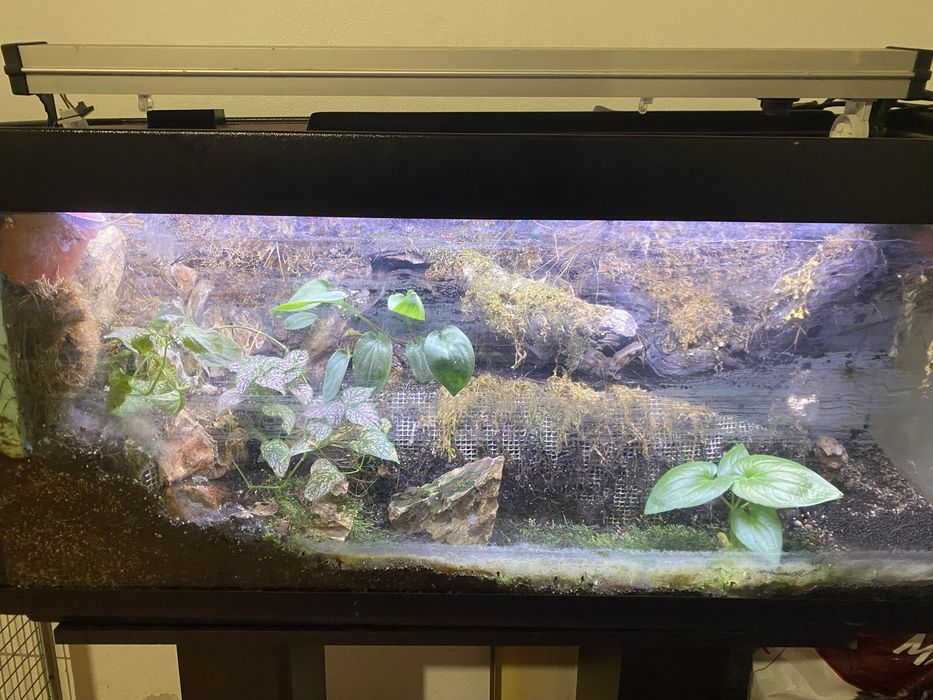 Vendo terrario/aquaterrario