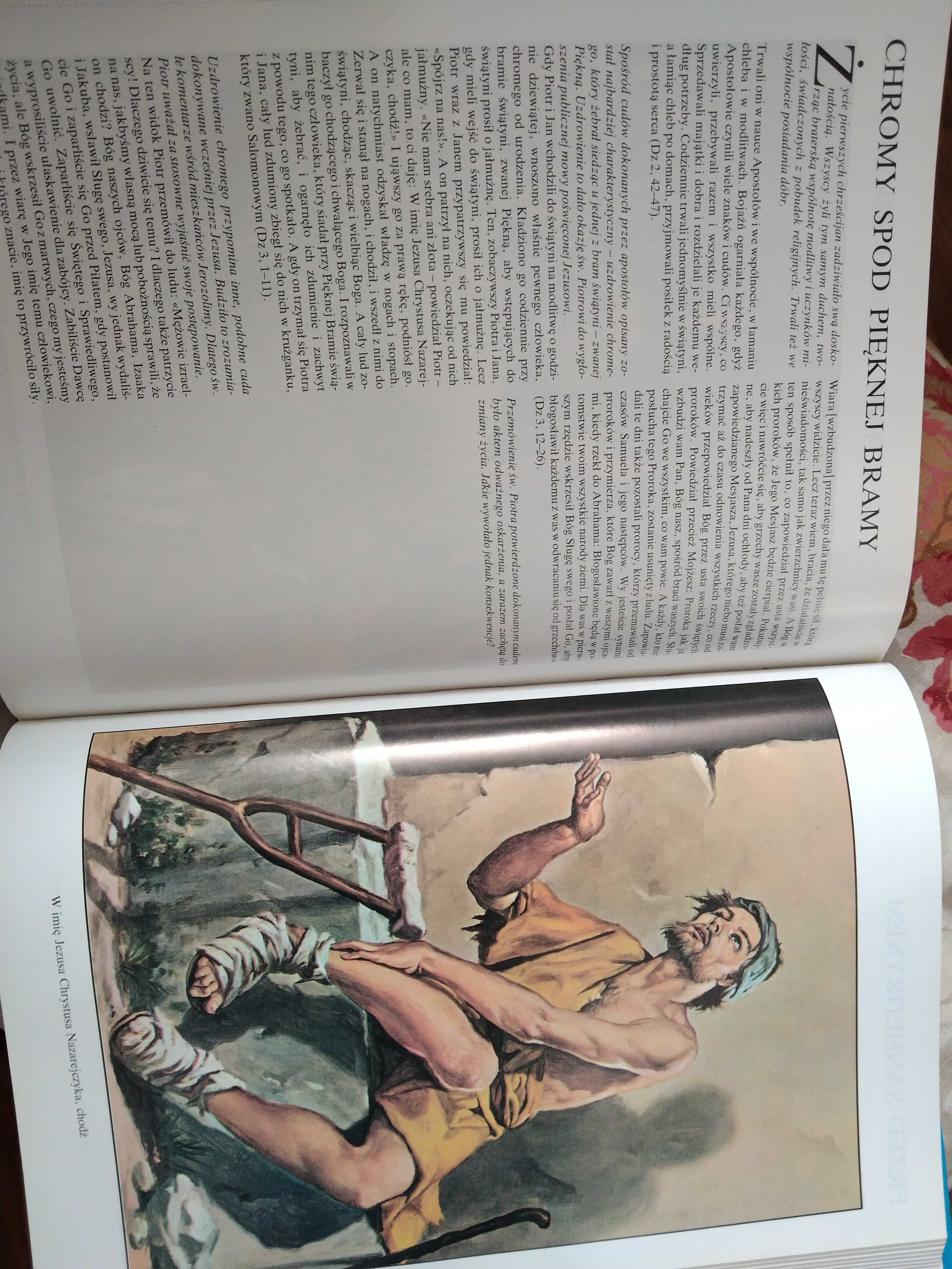 Biblia ilustrowana Lubelskie Wydawnictwo Diecezjalne
