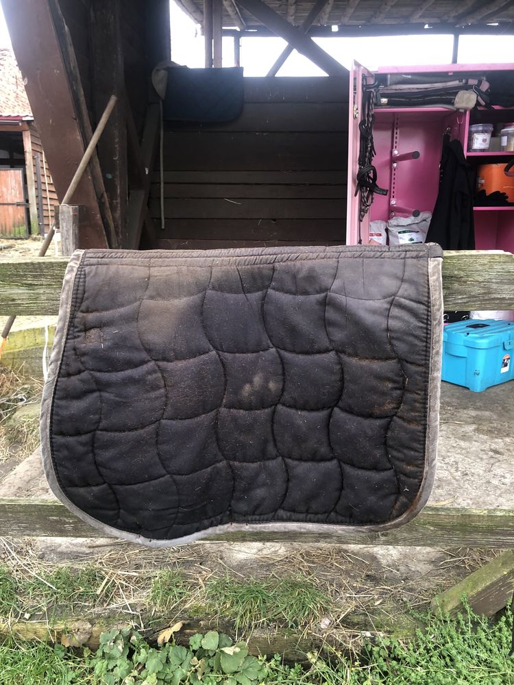 Czaprak york full vs
