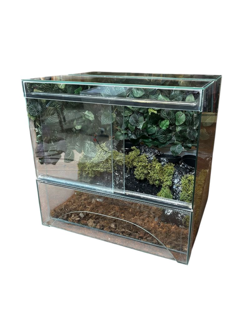 Terrarium 48x50x40