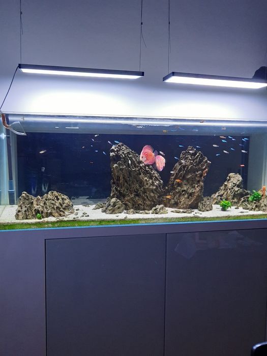 Aquario + móvel + filtros + lâmpadas + muitos acessórios