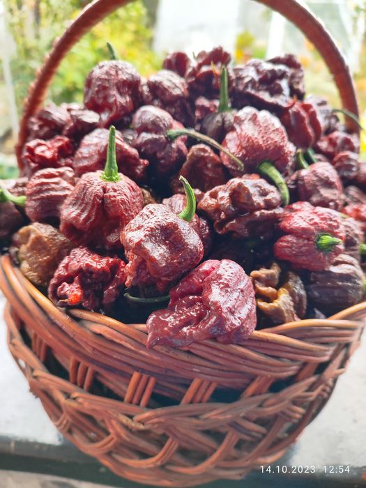 Carolina Reaper надгострий перець.