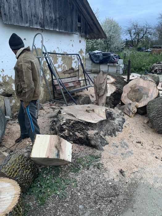 Зрізка дерев, корчування пнів