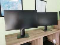 Monitor Dell P2419H / 24" / Garantia