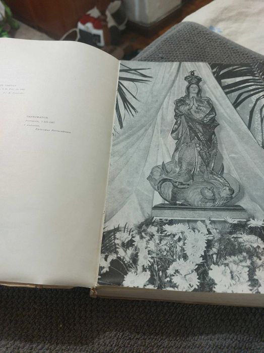 livro antigo imaculada Conceição