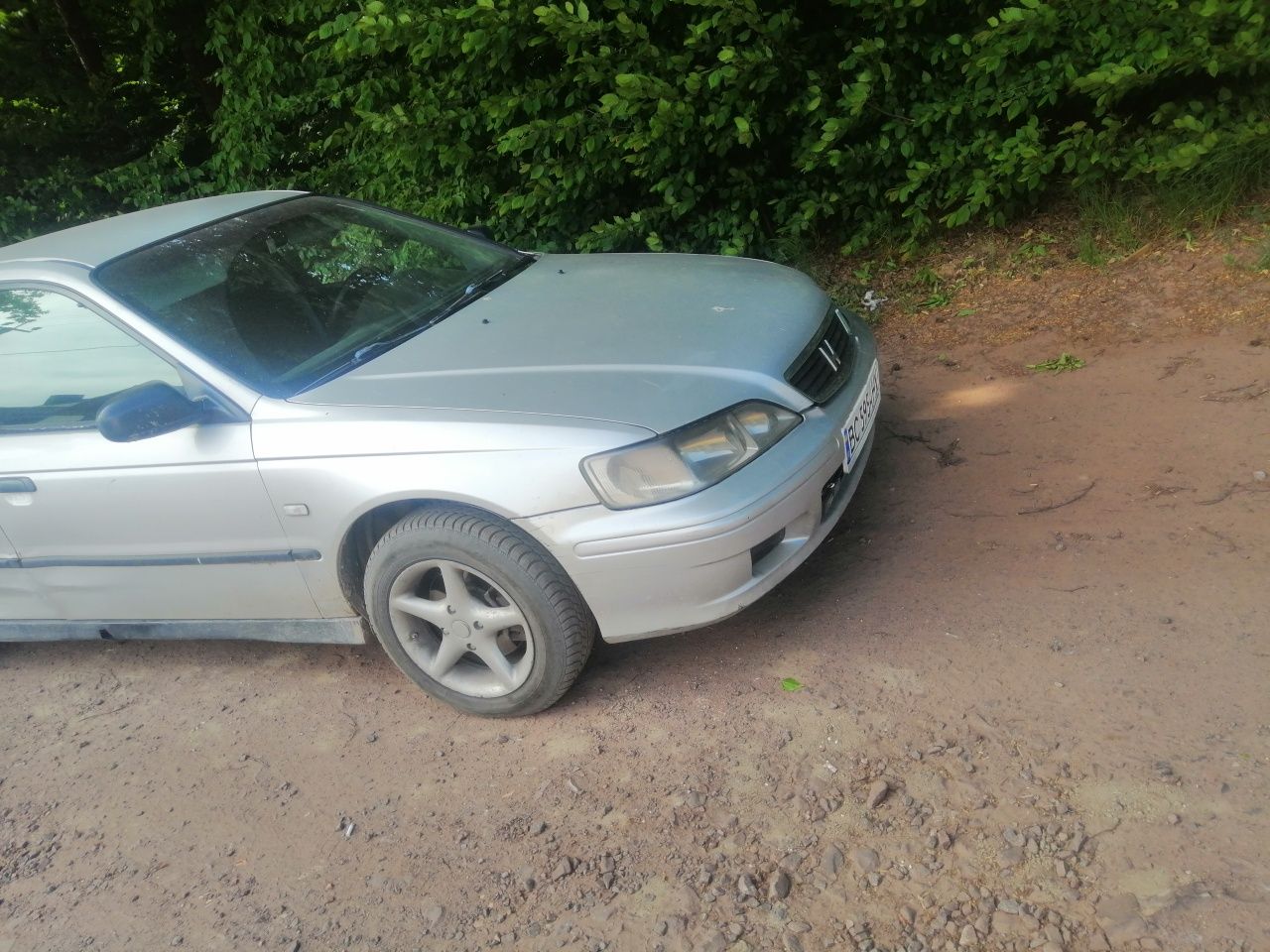 Honda Acord , vtec 1,8( газ бензин)