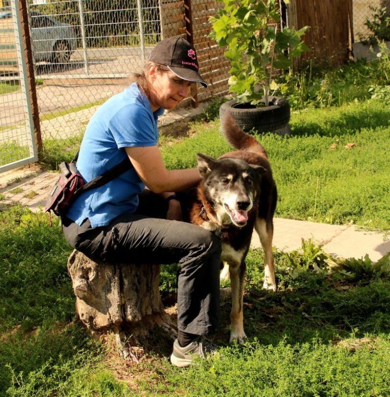 Ogromni kochany przytulas Haker adopcja