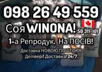 Нова Канадська соя ВІНОНА[SB 311-101] 1-А РЕПРОДУКЦІЯ! Відправка НП!