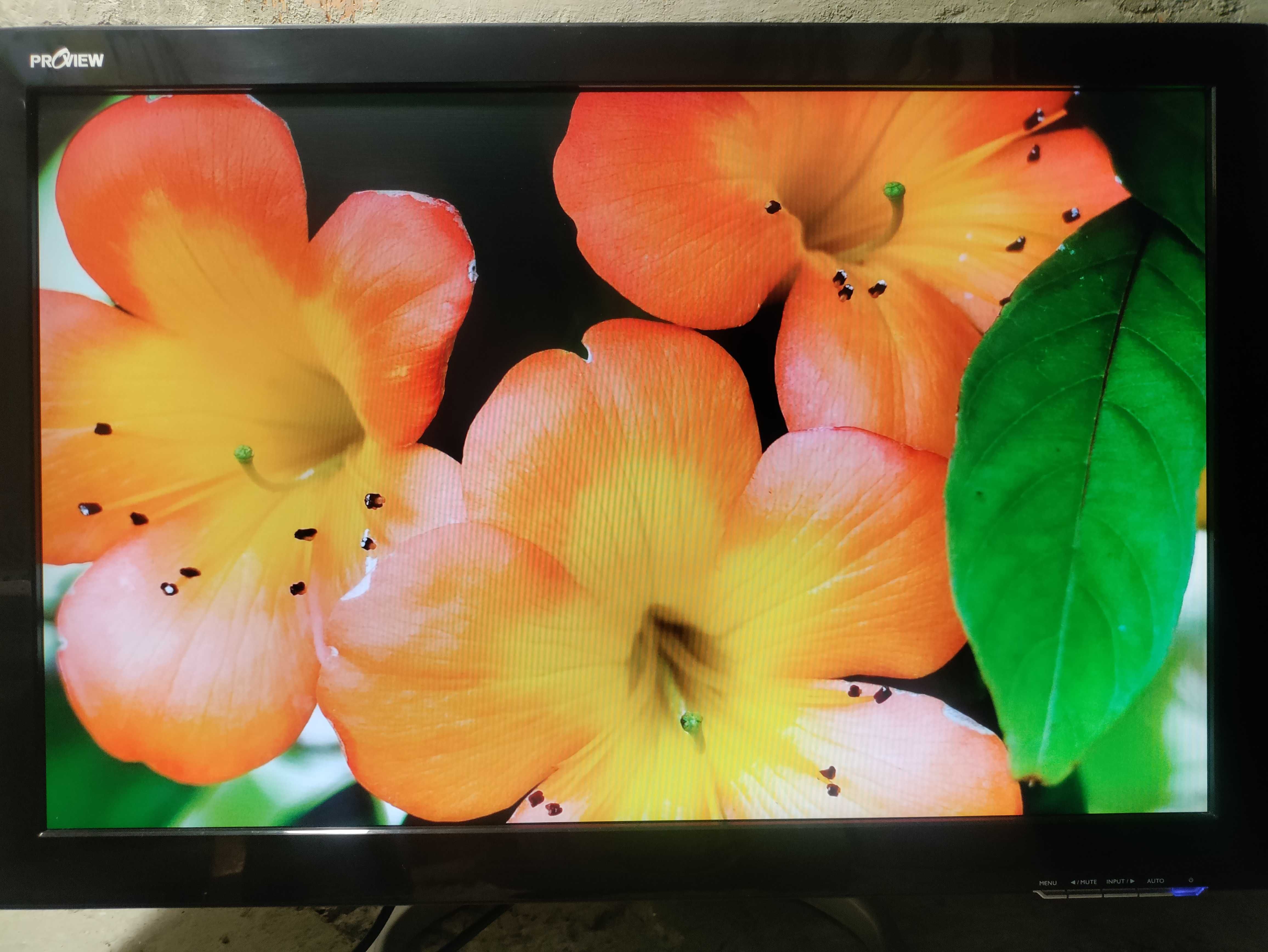 monitor Prowiev TP2653W 1920x1200 26"