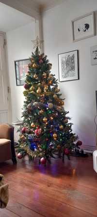 Árvore  de Natal seccionada 1,90cm